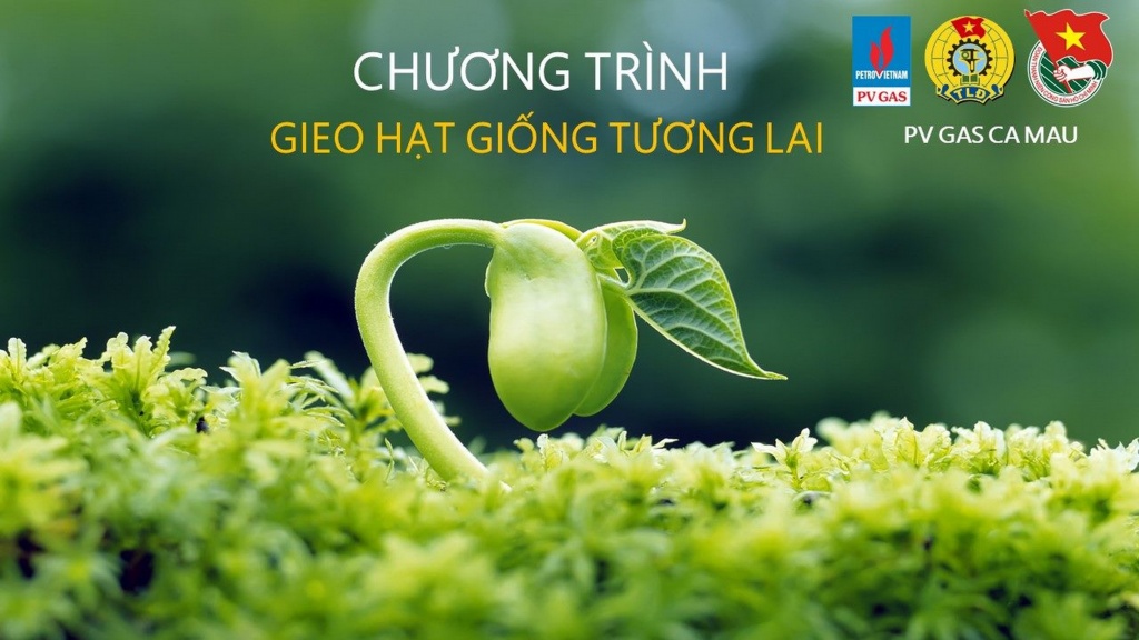 kcm trao tang hoc bong cho sinh vien trong chuong trinh gieo hat giong tuong lai nam 2019