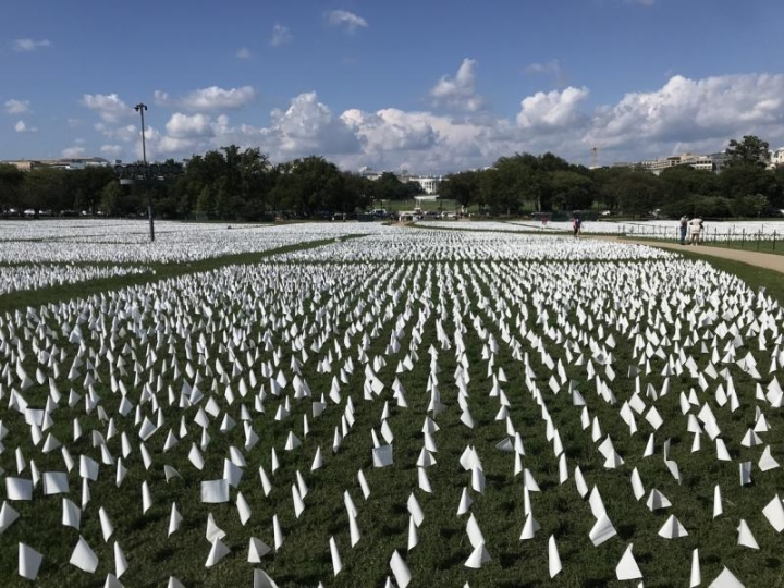 COVID-19 sẽ thành bệnh đặc hữu, tồn tại lâu dài? - 2