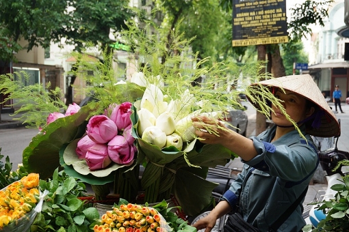 ha noi bon mua tinh yeu