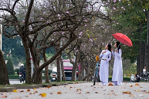 tim lai net thanh lich cua nguoi ha noi