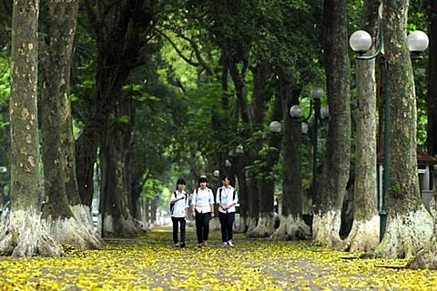 nhung chuyen ngau nhien o mua thu