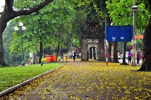 nhung chuyen ngau nhien o mua thu