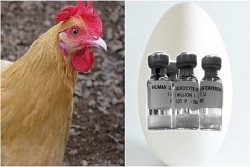 chuyen that nhu dua o my nhat duoc tui tien 1 trieu usd giua duong