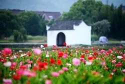 nhung dia diem du lich noi tieng nhung nen tranh nam 2018