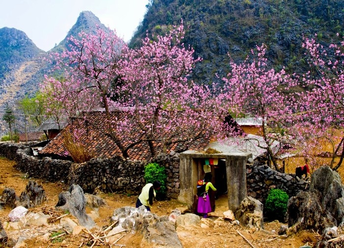 nhung diem du xuan noi tieng chi muon quay luon dip tet