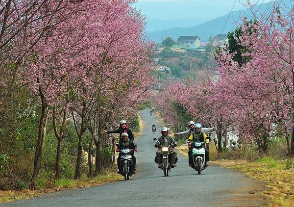 nhung diem du xuan noi tieng chi muon quay luon dip tet