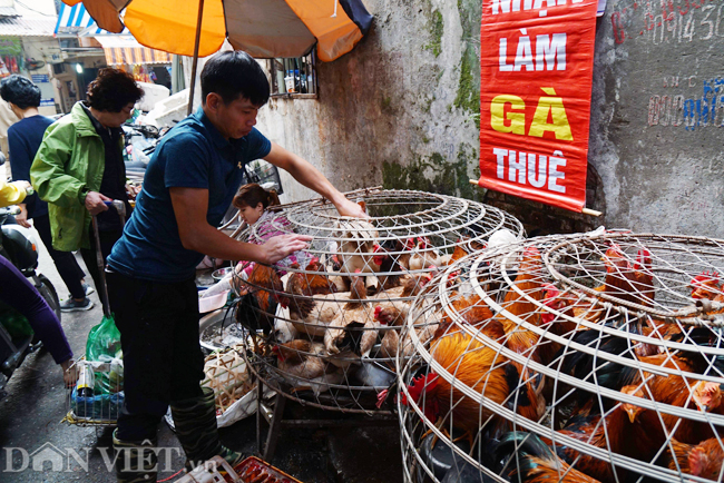 anh nguoi ha noi xep hang mua gio cha thit ga ngay 30 tet