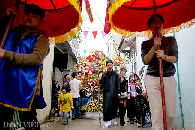 anh le ruoc hang chuc ong lon trong dem o ha noi