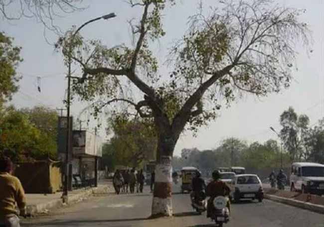 20 dieu khien du khach soc tot cung khi den an do