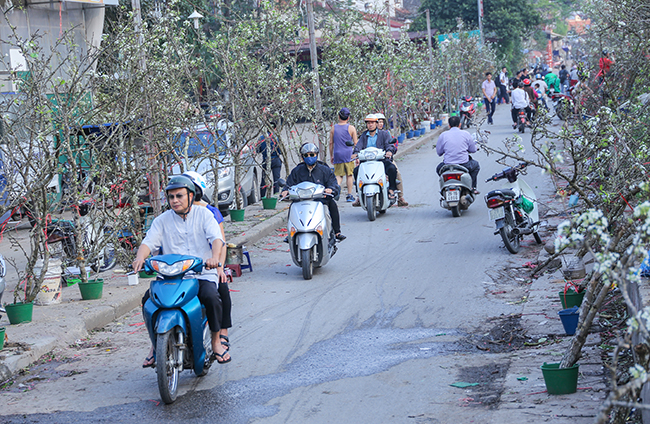 anh hoa le rung tay bac tien trieu hut nguoi choi sau tet