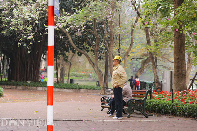 ha noi tro lanh mua phun lai khan ao nhieu lop nai nit ra duong