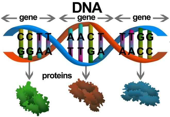 cuu nhan vien google nguoi viet tu giai ma gene chi voi mau nuoc bot