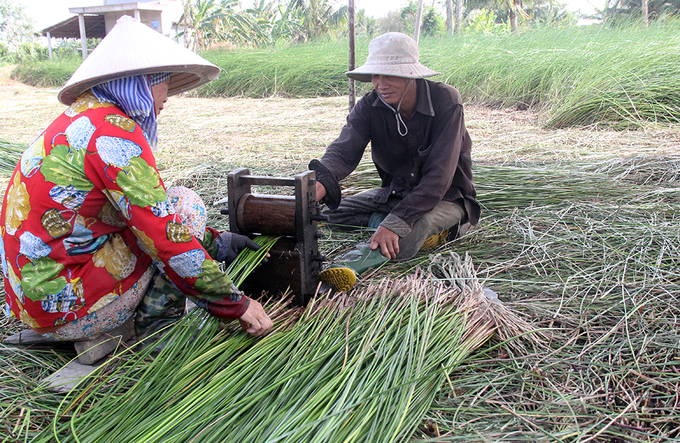 ngoi lang mien tay bo lua trong lac thu nhap cao hon nam lan