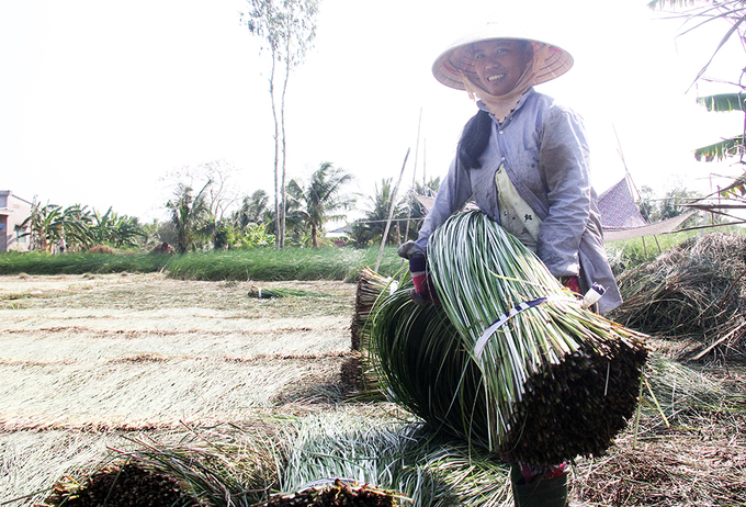 ngoi lang mien tay bo lua trong lac thu nhap cao hon nam lan