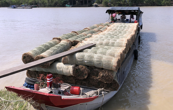 ngoi lang mien tay bo lua trong lac thu nhap cao hon nam lan