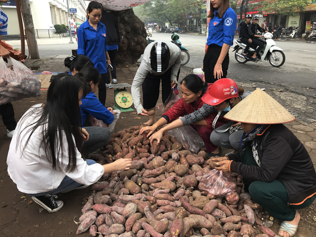 nguoi ha noi tieu thu hang tram tan khoai lang nhat chi trong vai ngay