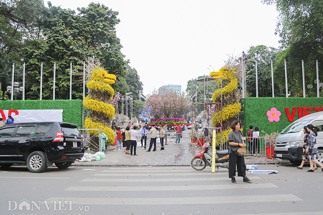 anh hoa anh dao nhat ban san sang ra mat nguoi dan ha noi