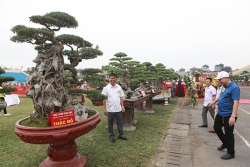 thuong lai trung quoc bi tu choi khi muon mua ca vuon mai tu quy doc nhat viet nam