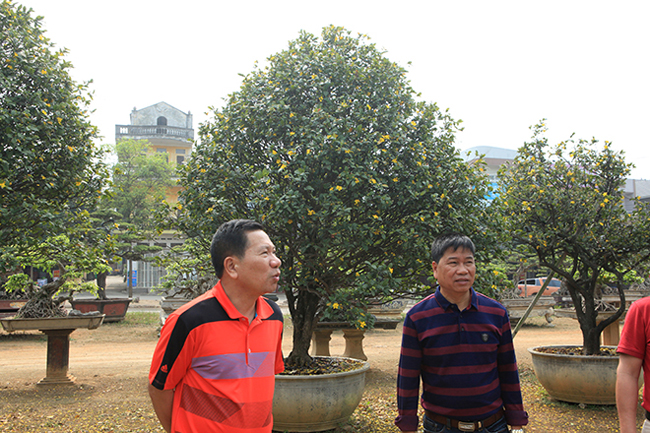 thuong lai trung quoc bi tu choi khi muon mua ca vuon mai tu quy doc nhat viet nam