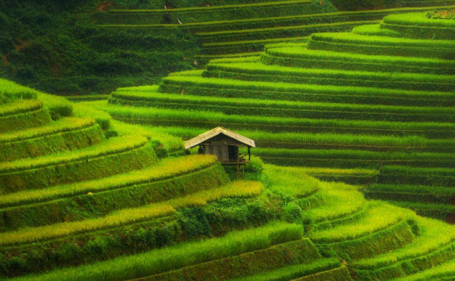 mu cang chai lot vao top dia diem sac mau nhat the gioi