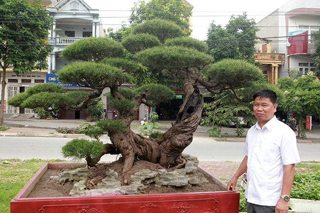 chiem nguong lao phi lao hinh chu nhan gia bac ty