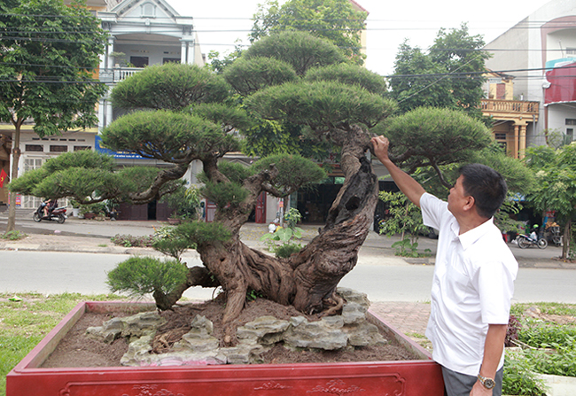 chiem nguong lao phi lao hinh chu nhan gia bac ty