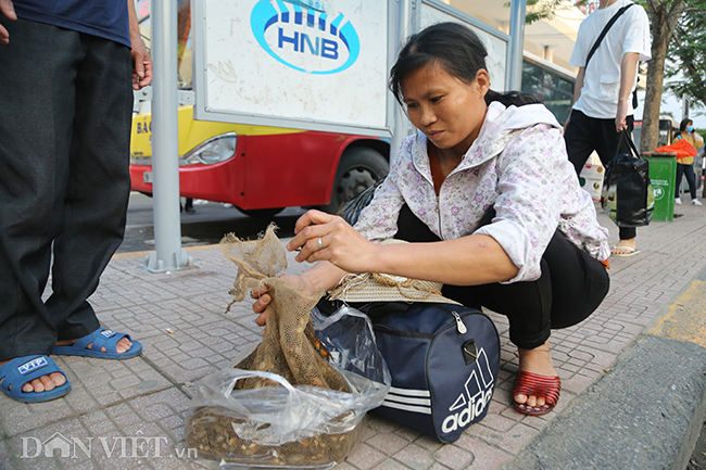 hinh anh nguoi dan be ga rau que tro ve ha noi sau ky nghi le