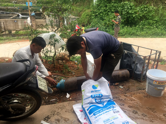 nuoi ca quy toc trong ao bac thang moi kg ca dut tui 200000 dong