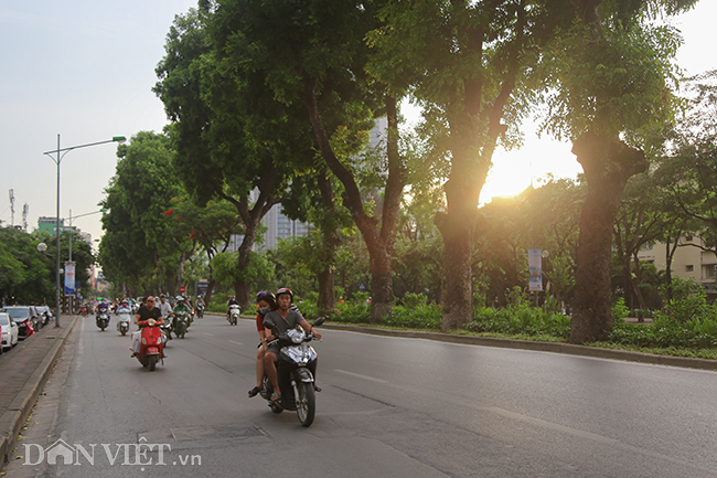 anh nhung con duong mat mat du ha noi nang nong do lua