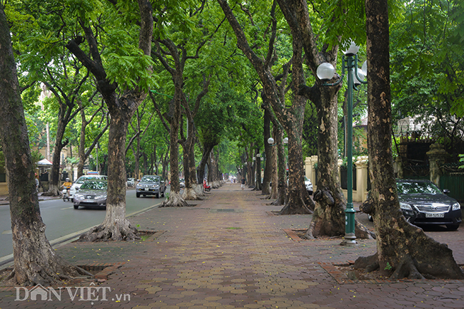 anh nhung con duong mat mat du ha noi nang nong do lua