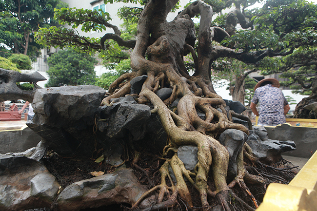 tra 2 trieu do cho cap sanh co chu nhan van nhat quyet khong ban