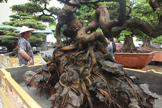 tra 2 trieu do cho cap sanh co chu nhan van nhat quyet khong ban