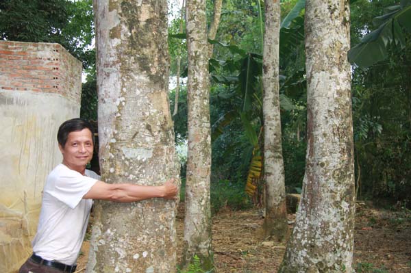 lam giau o nong thon mot cay doi doi cachi vang