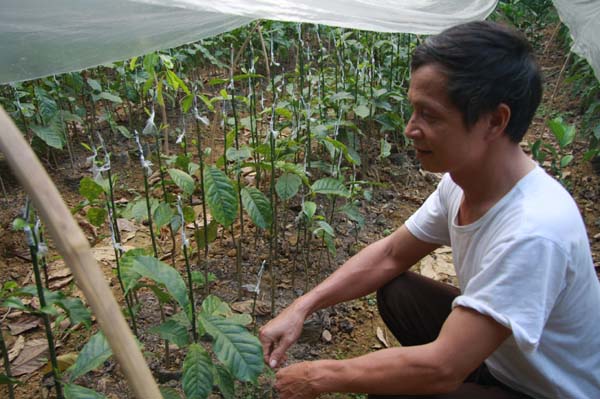 lam giau o nong thon mot cay doi doi cachi vang