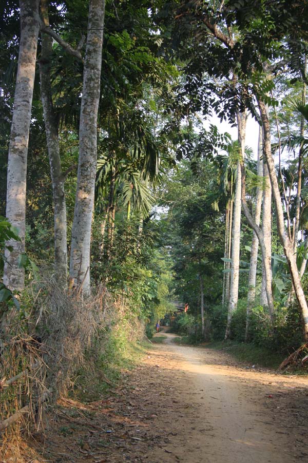 lam giau o nong thon mot cay doi doi cachi vang