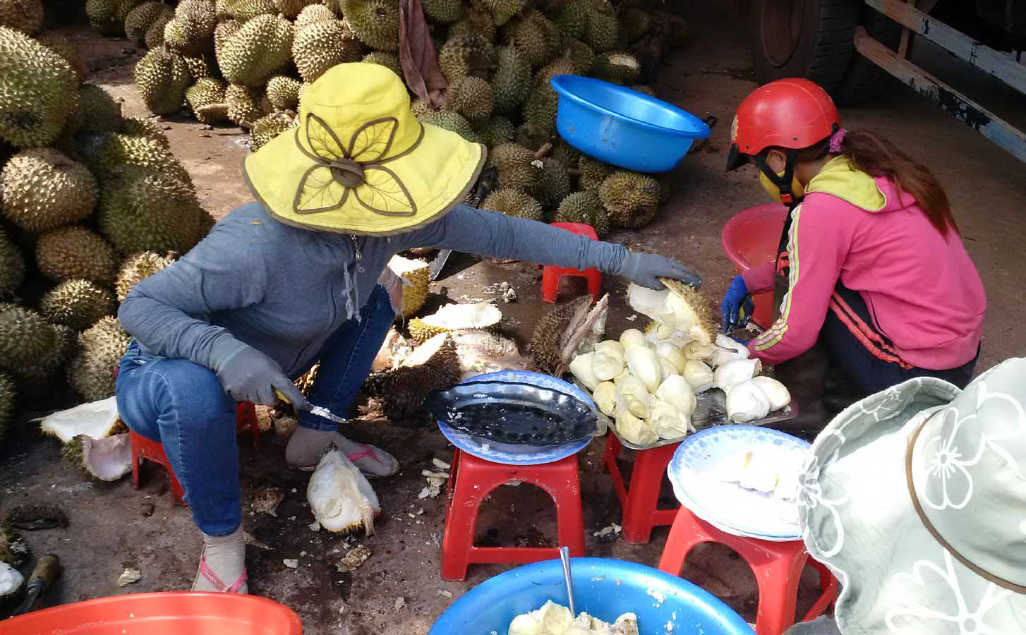 sau rieng tang gia khung tu thuong an ca trai non tam thuoc nhanh chin