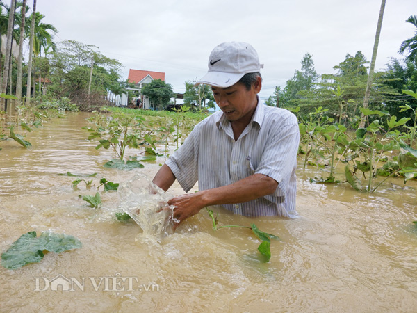 can canh nguoi dan vung lu quang nam cheo thuyen ngay trong nha