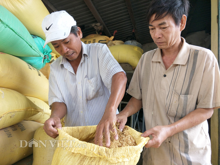 can canh nguoi dan vung lu quang nam cheo thuyen ngay trong nha