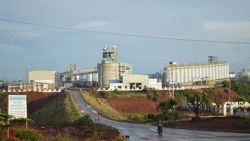 Báo cáo toàn diện dự án bauxite: Phải lưu ý những gì?