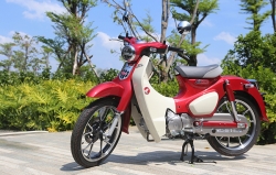 honda super cub c 125 va monkey 125 them mau moi gia 846 trieu dong