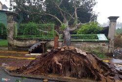 sai gon mua nhu trut nuoc cay do de nguoi tu vong