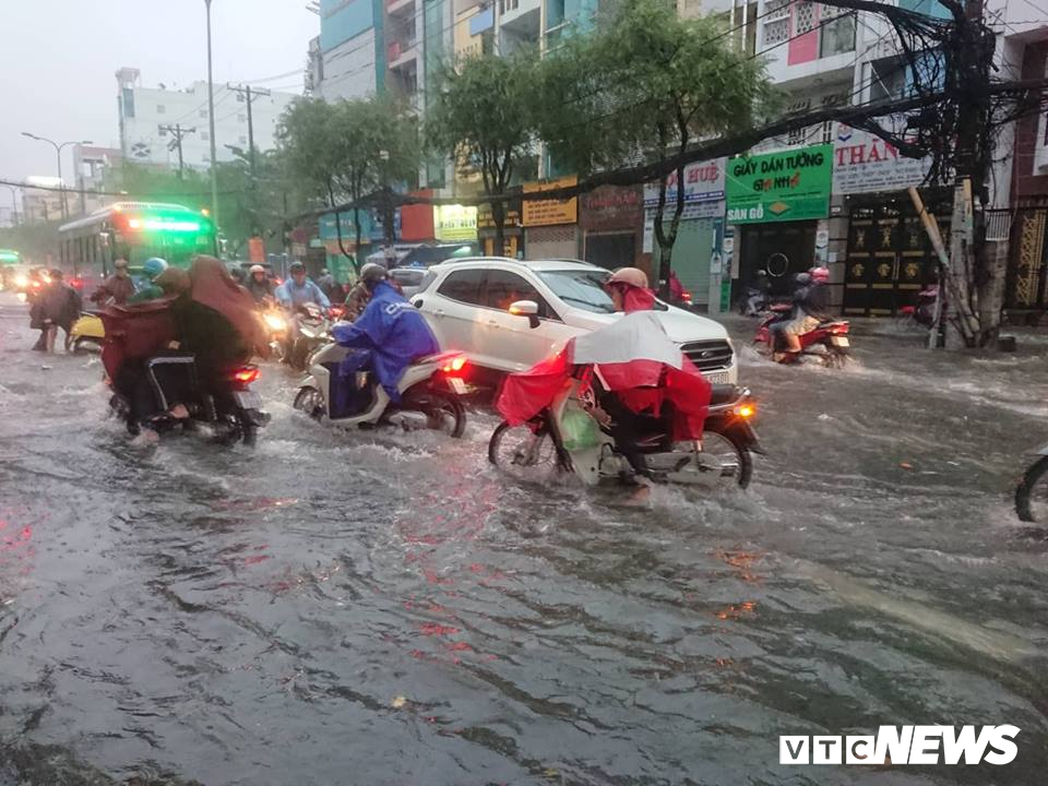 tphcm mua trang troi pho bien thanh song cay do rap