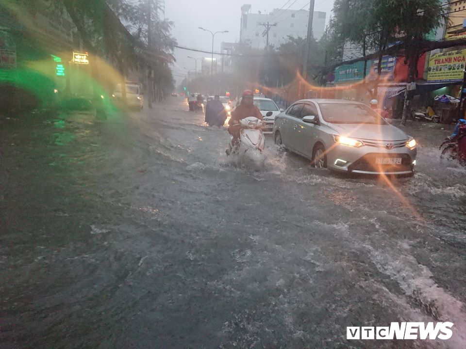 tphcm mua trang troi pho bien thanh song cay do rap