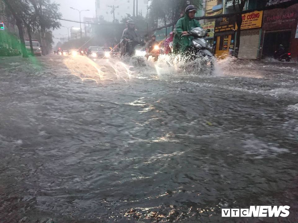 tphcm mua trang troi pho bien thanh song cay do rap