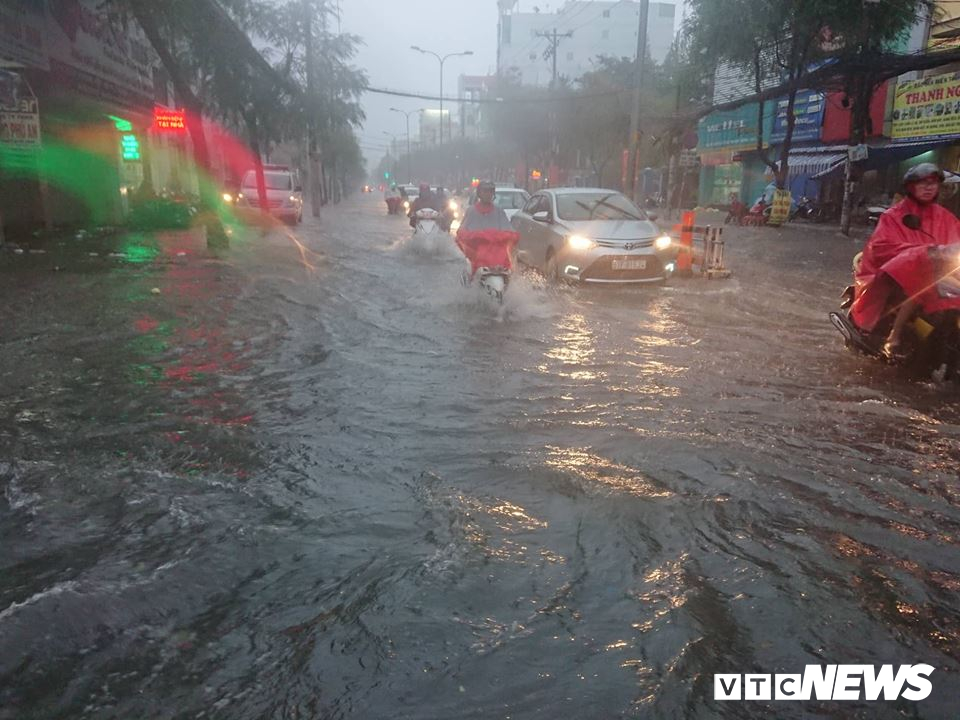 tphcm mua trang troi pho bien thanh song cay do rap