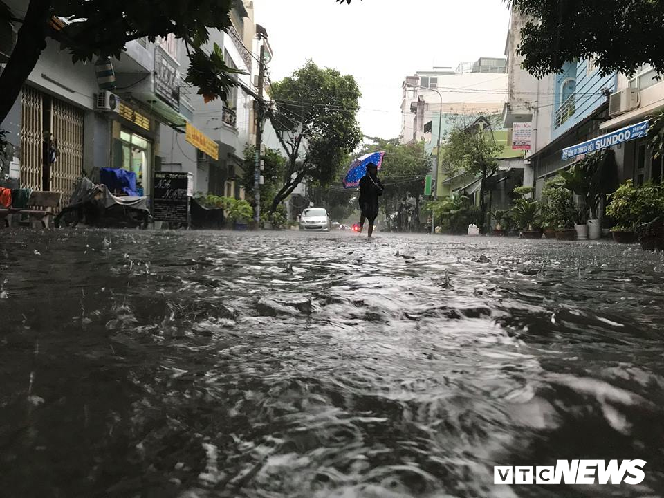 tphcm mua trang troi pho bien thanh song cay do rap