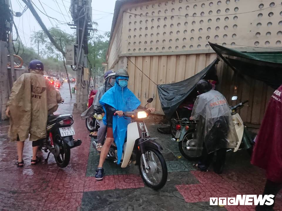 tphcm mua trang troi pho bien thanh song cay do rap