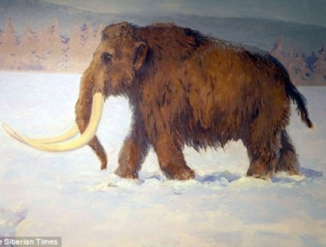 phat hien gay soc ve ho bay voi ma mut dau tien trong lich su loai nguoi