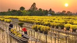 nhung dia diem du lich ly tuong nhat de tan huong ky nghi tet am lich 2018