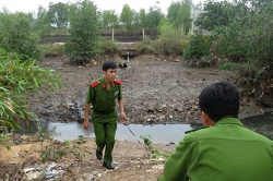 ga dan ong danh chet con ban o mien tay bi tang an tu